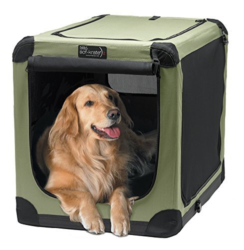 crates for dogs