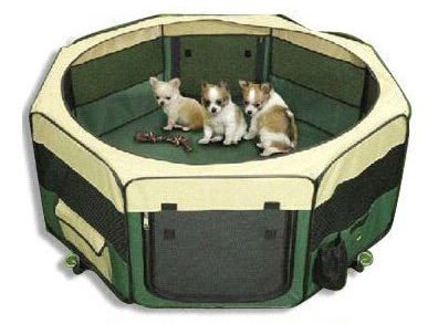 kennels for small dogs