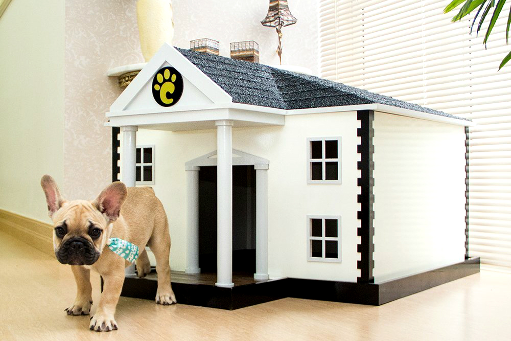 The dog house demo dog houses info. Дворец для собаки. Лакшери собака. Luxurious Pets лоток домик. Элит дог Хаус.