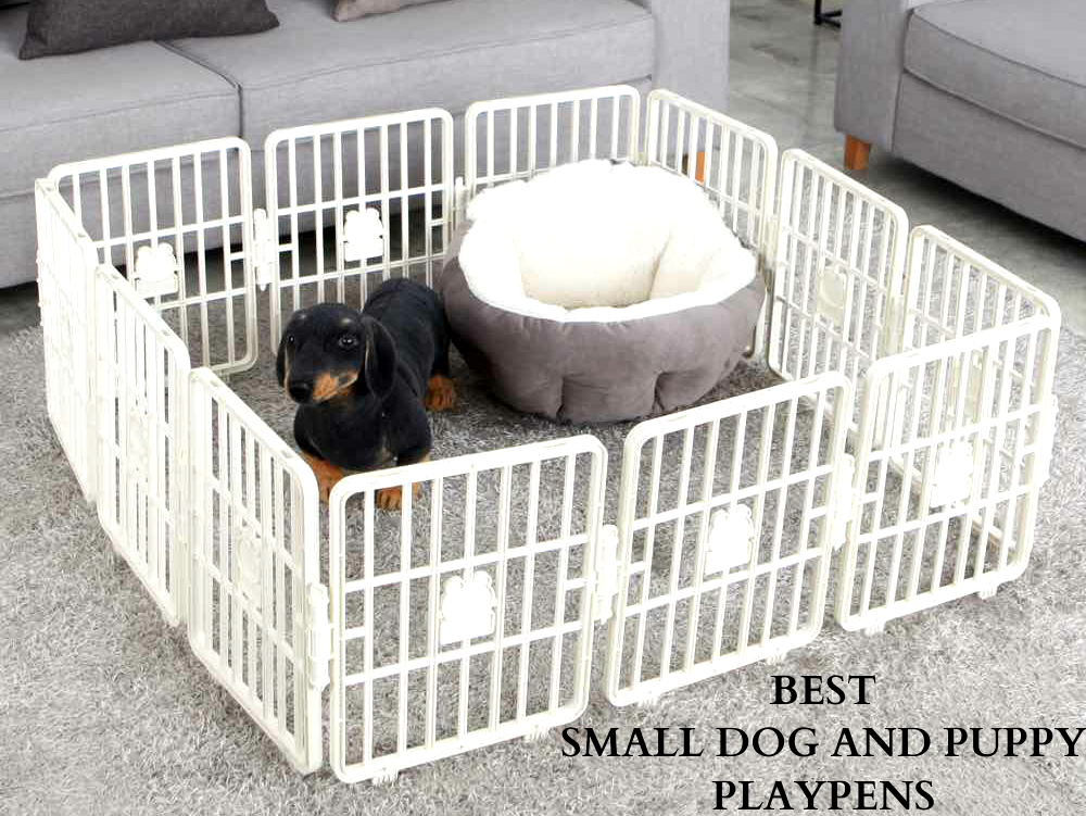 Best small dog and puppy playpens 
