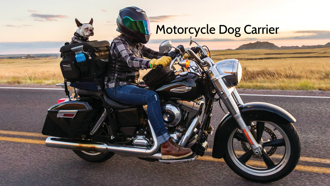 dog holder for motorcycle
